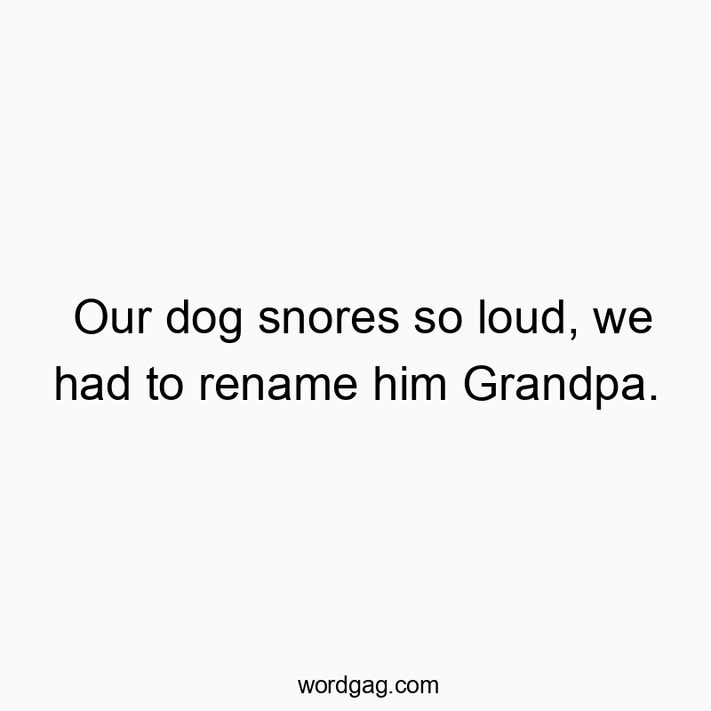 Our dog snores so loud, we had to rename him Grandpa.