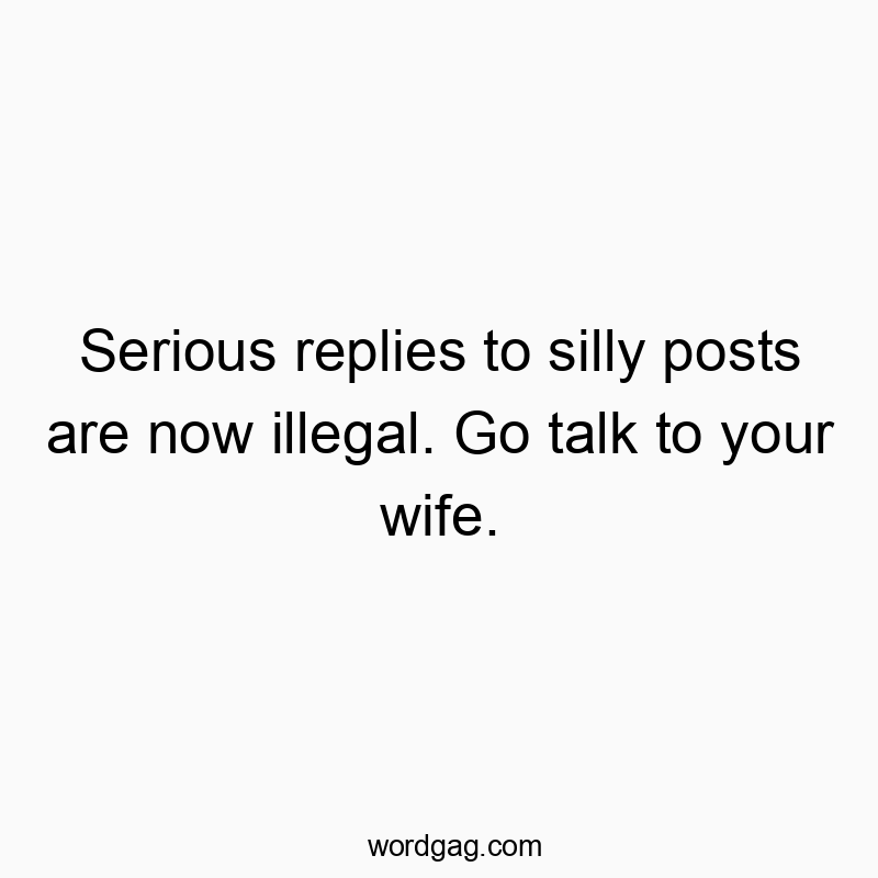 Funny joke quotes - Serious replies to silly posts are now illegal. Go talk to your wife.