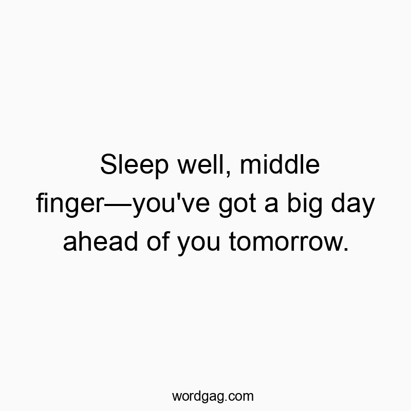 Funny attitude quotes - Sleep well, middle finger—you’ve got a big day ahead of you tomorrow.