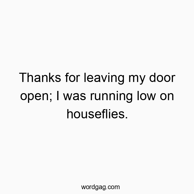 Thanks for leaving my door open; I was running low on houseflies.