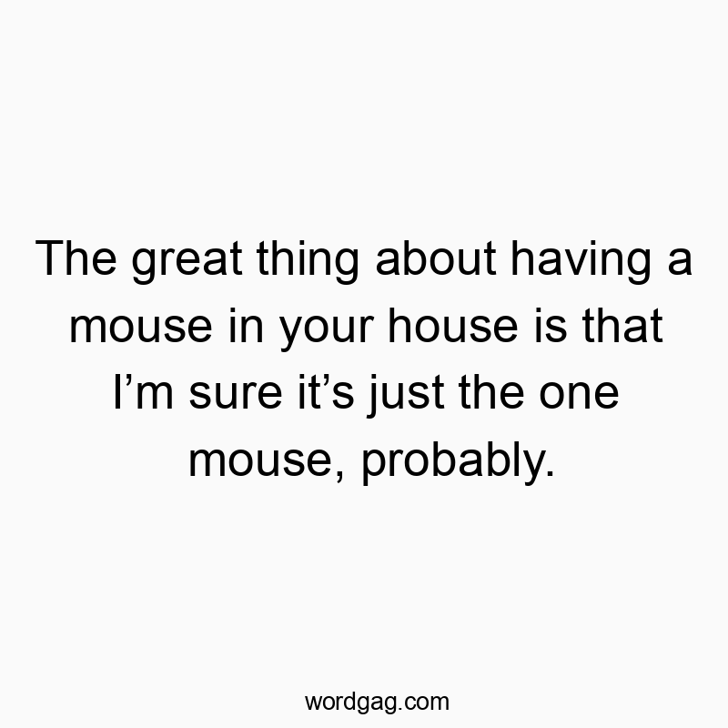 The great thing about having a mouse in your house is that I’m sure it’s just the one mouse, probably.