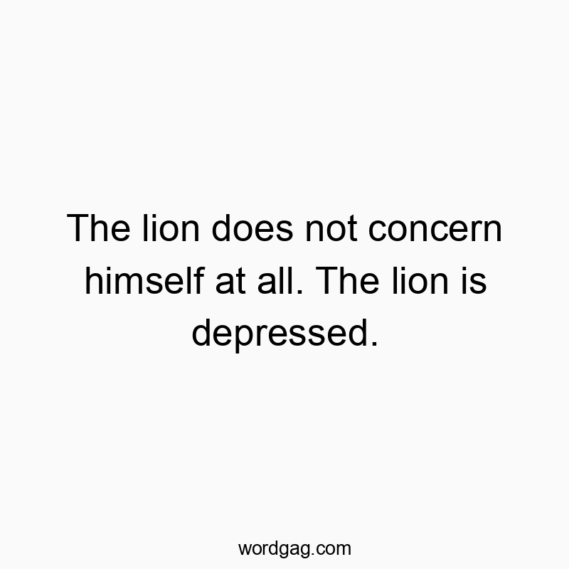 The lion does not concern himself at all. The lion is depressed.