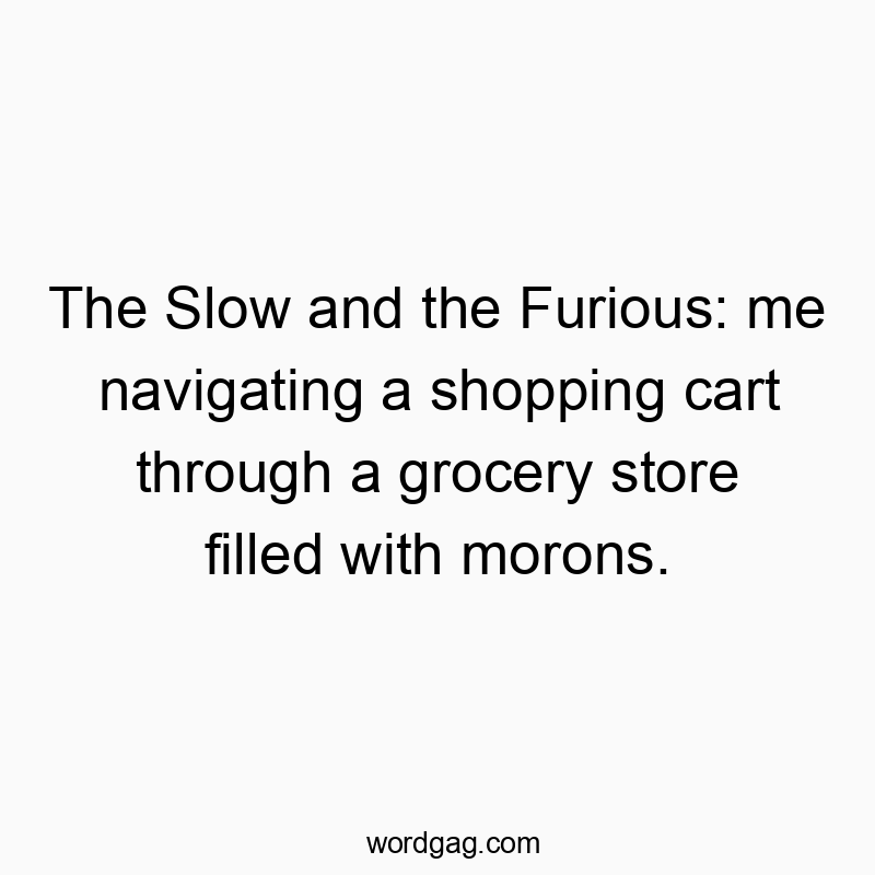 The Slow and the Furious: me navigating a shopping cart through a grocery store filled with morons.