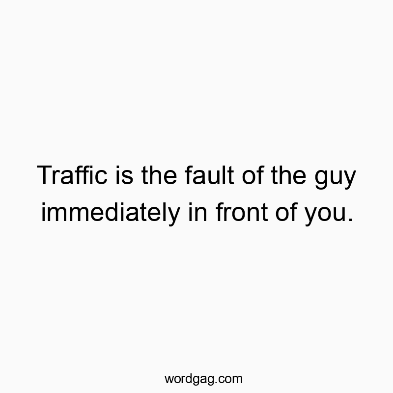 Traffic is the fault of the guy immediately in front of you.