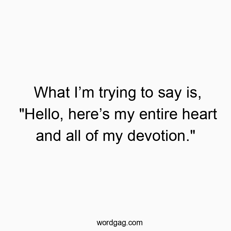 Funny trying quotes - What I’m trying to say is, “Hello, here’s my entire heart and all of my devotion.”