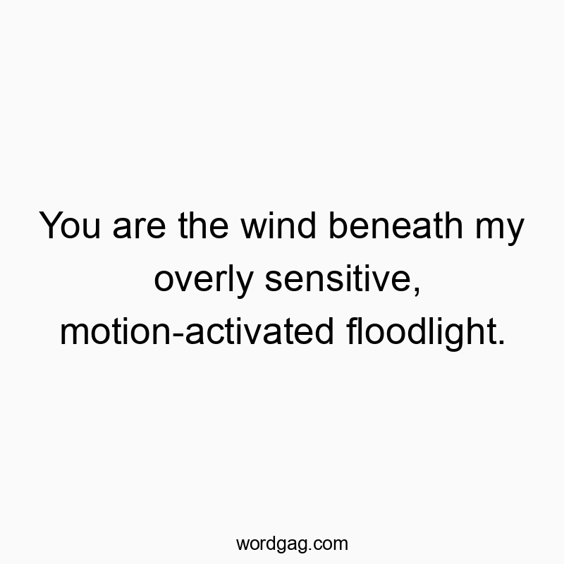 You are the wind beneath my overly sensitive, motion-activated floodlight.