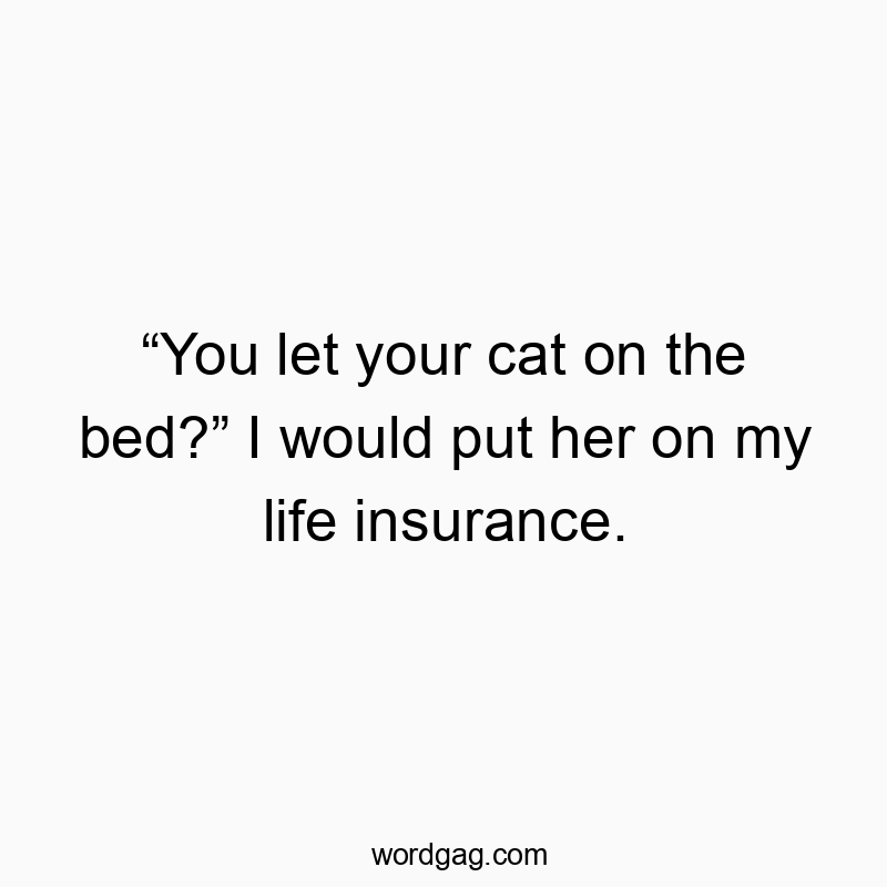 Funny insurance quotes - “You let your cat on the bed?” I would put her on my life insurance.