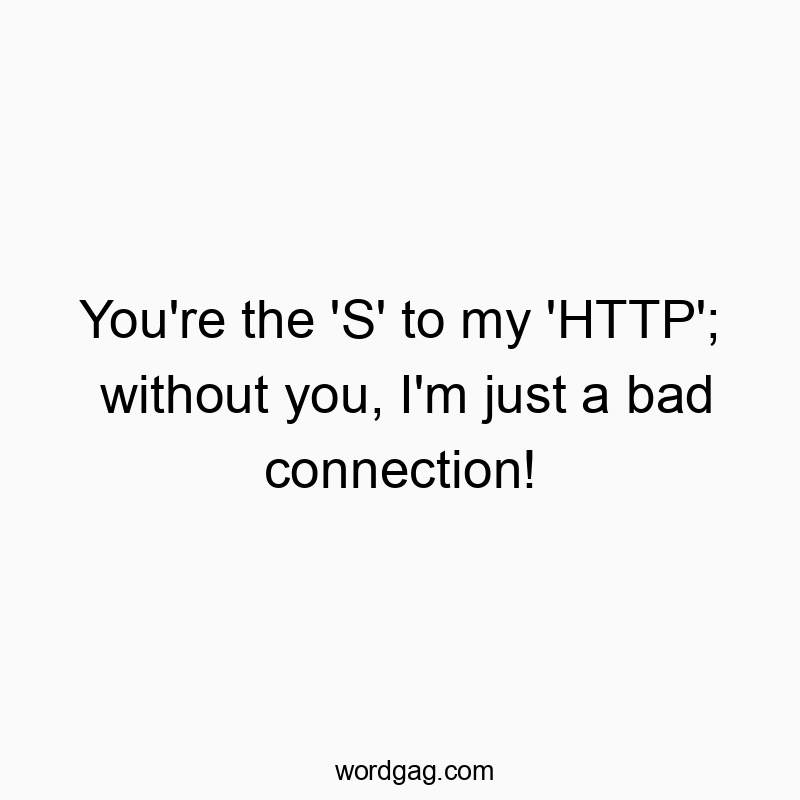 You’re the ‘S’ to my ‘HTTP’; without you, I’m just a bad connection!