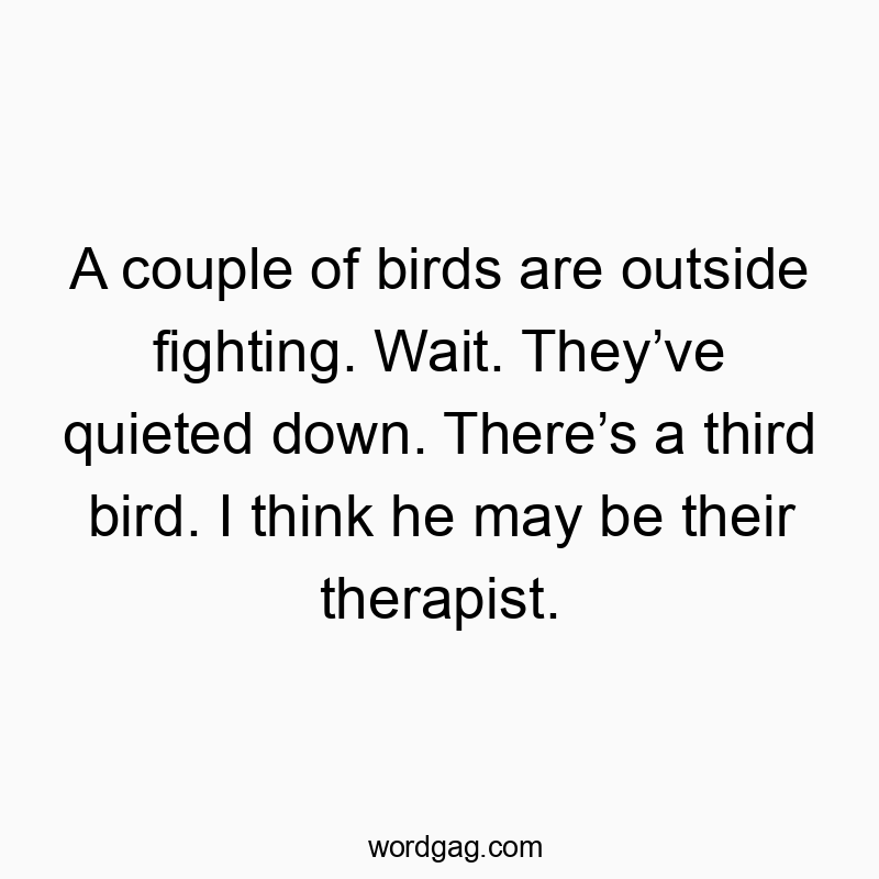A couple of birds are outside fighting. Wait. They’ve quieted down. There’s a third bird. I think he may be their therapist.