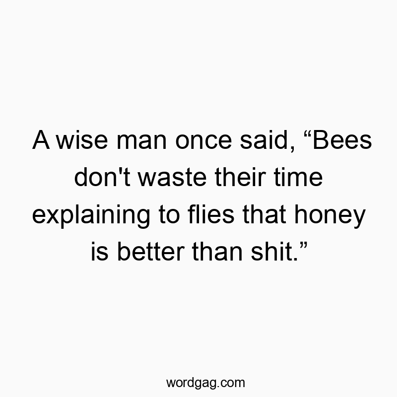 A wise man once said, “Bees don’t waste their time explaining to flies that honey is better than shit.”