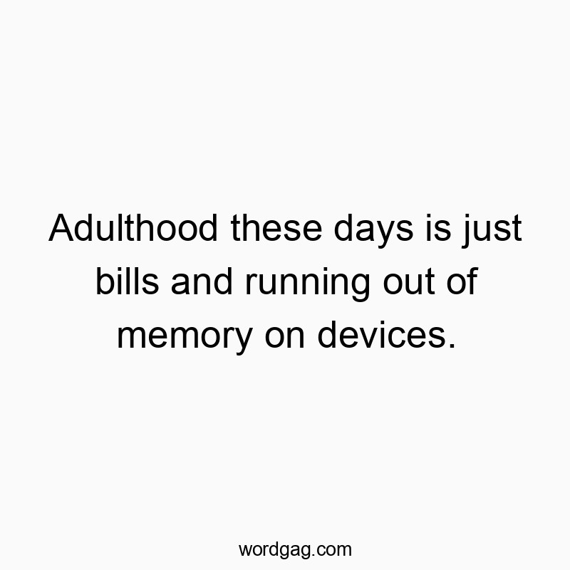 Adulthood these days is just bills and running out of memory on devices.