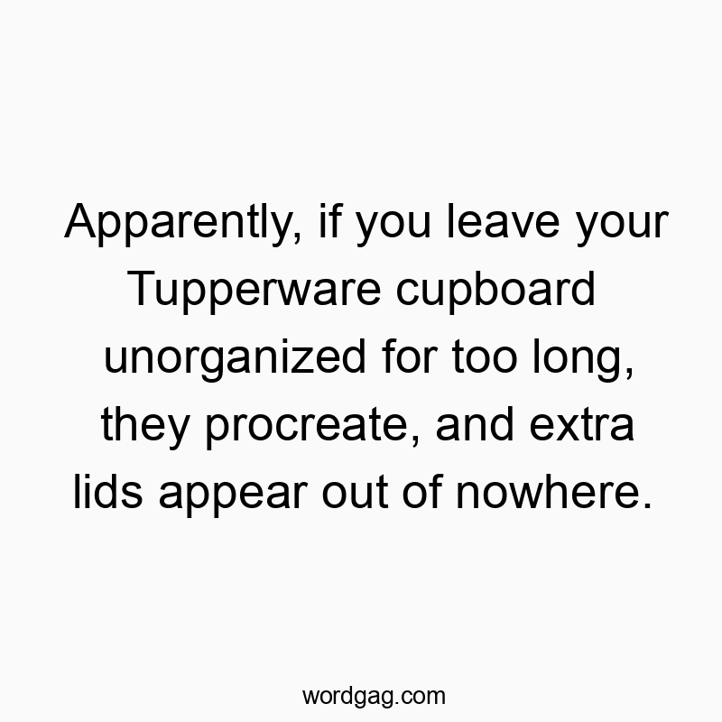 Apparently, if you leave your Tupperware cupboard unorganized for too long, they procreate, and extra lids appear out of nowhere.