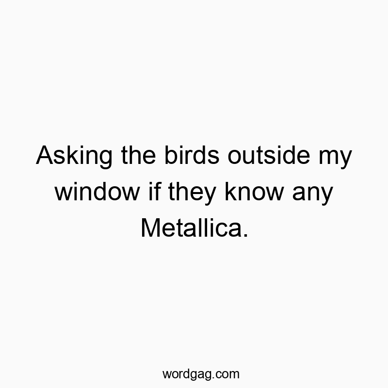Asking the birds outside my window if they know any Metallica.