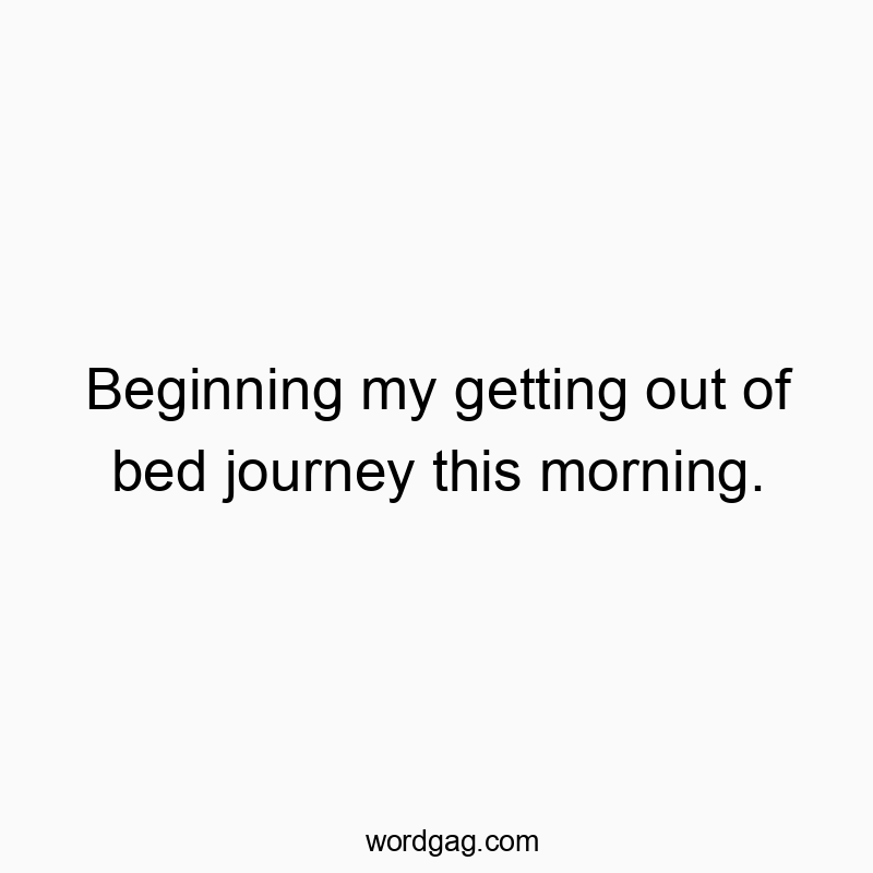 Beginning my getting out of bed journey this morning.