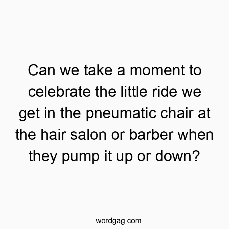 Can we take a moment to celebrate the little ride we get in the pneumatic chair at the hair salon or barber when they pump it up or down?