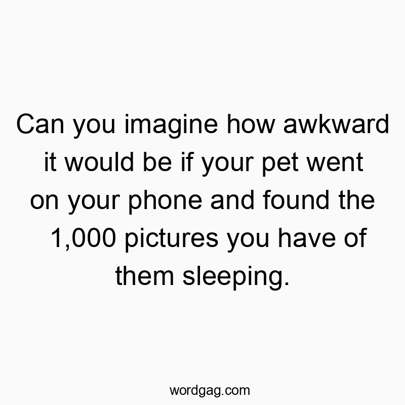 Funny pet quotes - Can you imagine how awkward it would be if your pet went on your phone and found the 1,000 pictures you have of them sleeping.