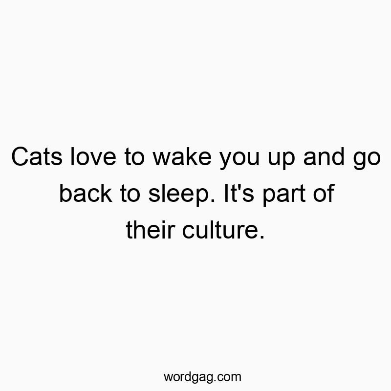 Cats love to wake you up and go back to sleep. It’s part of their culture.
