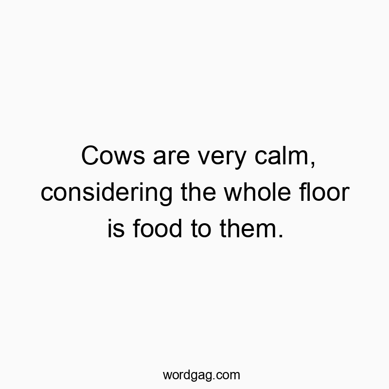 Cows are very calm, considering the whole floor is food to them.