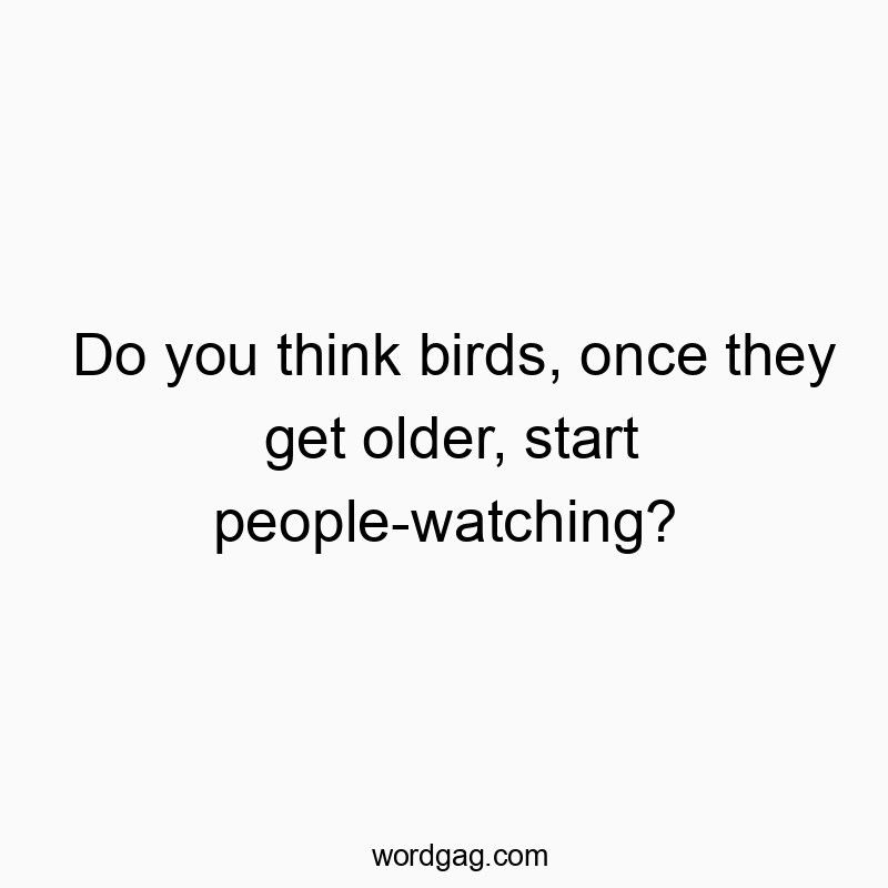 Witty text pondering if aging birds become avid people-watchers, playful and humorous in tone.