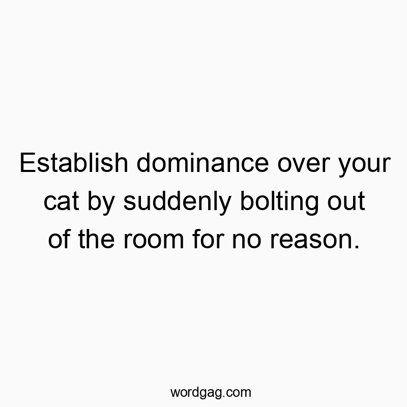 Establish dominance over your cat by suddenly bolting out of the room for no reason.