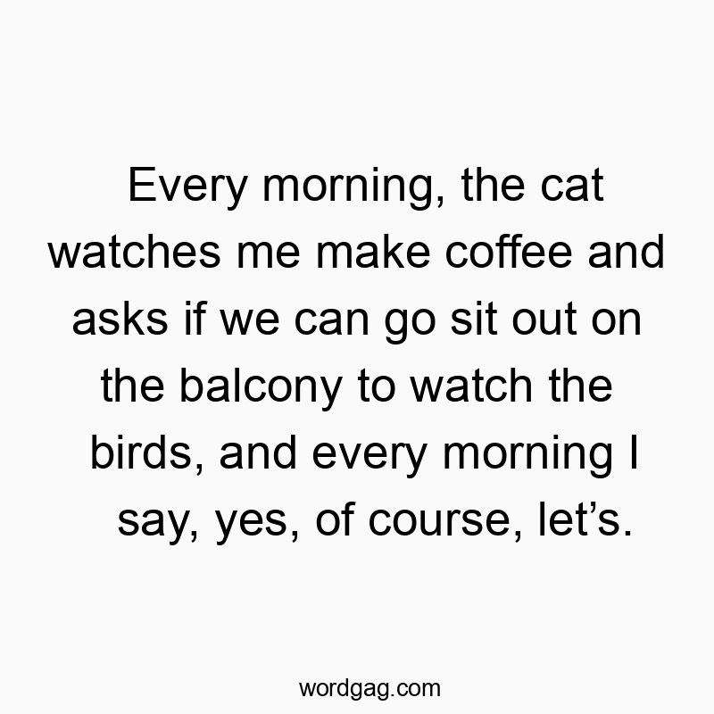 Funny watch quotes - Every morning, the cat watches me make coffee and asks if we can go sit out on the balcony to watch the birds, and every morning I say, yes, of course, let’s.