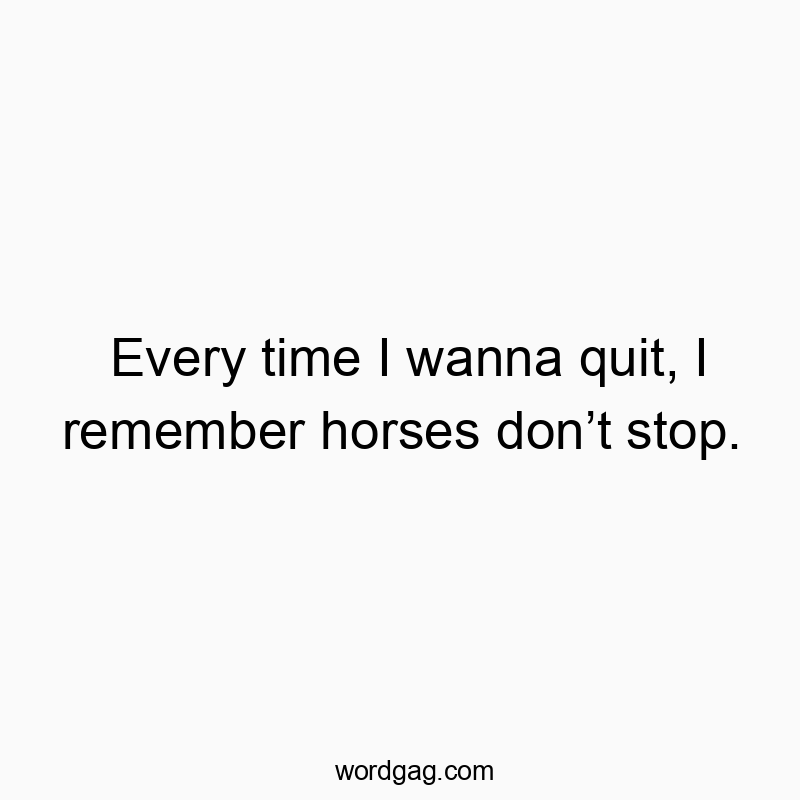 Funny horses quotes - Every time I wanna quit, I remember horses don’t stop.