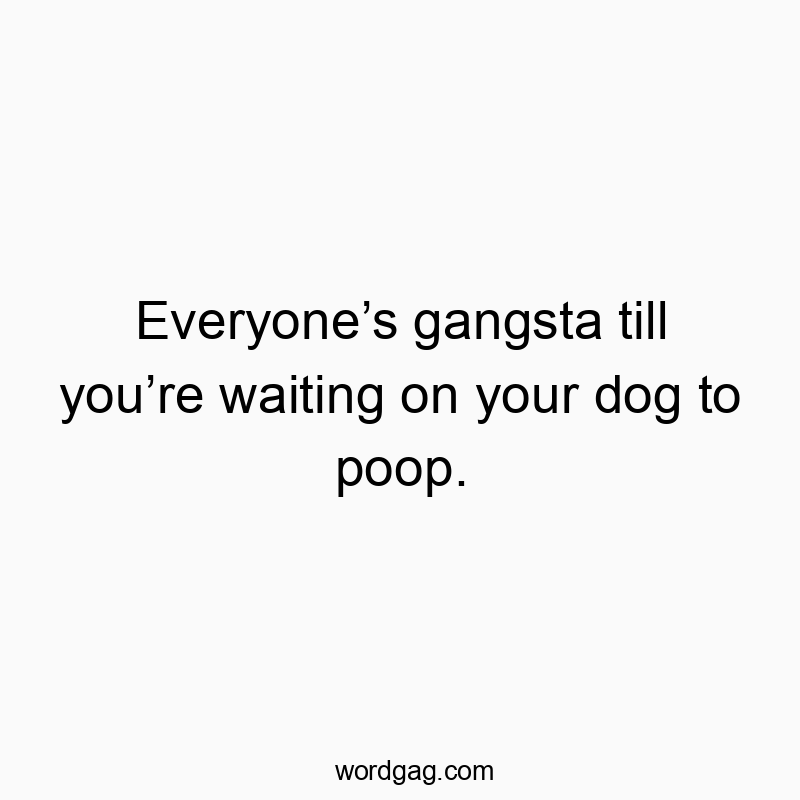 Everyoneโs gangsta till youโre waiting on your dog to poop.