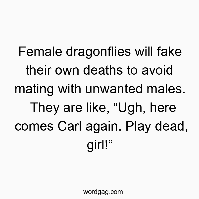 Female dragonflies will fake their own deaths to avoid mating with unwanted males. They are like, โUgh, here comes Carl again. Play dead, girl!โ