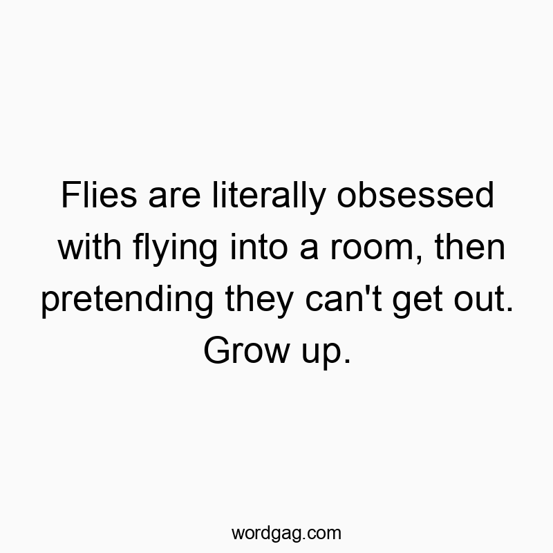 Flies are literally obsessed with flying into a room, then pretending they can’t get out. Grow up.
