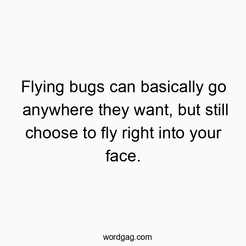 Funny flying quotes - Flying bugs can basically go anywhere they want, but still choose to fly right into your face.