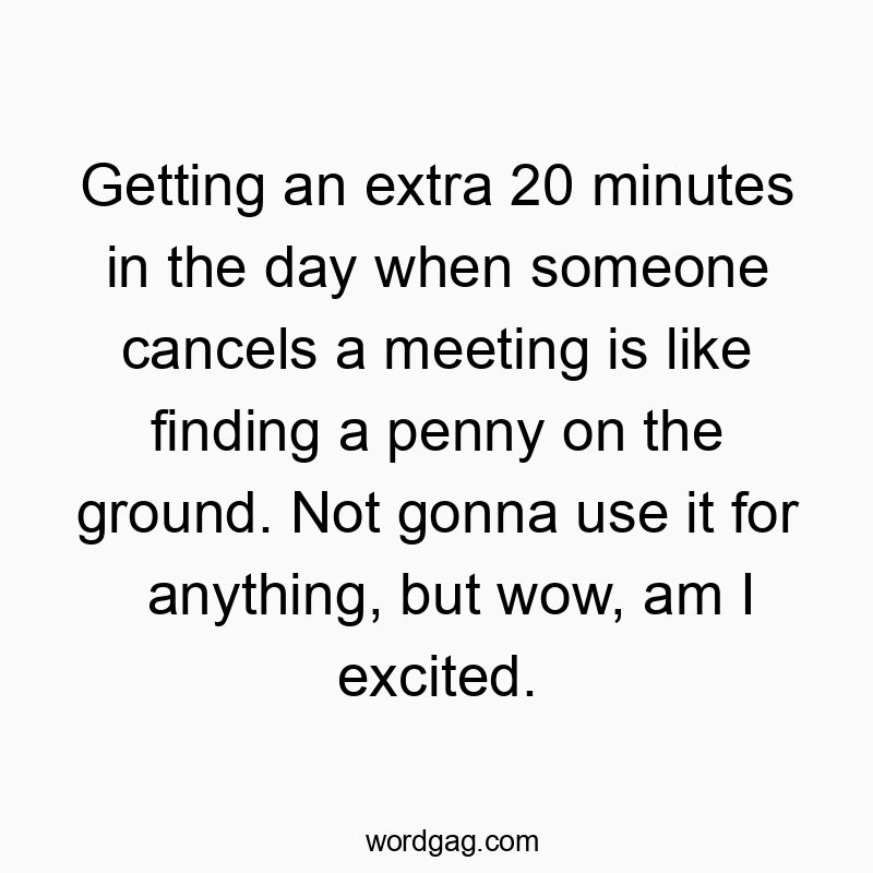 Getting an extra 20 minutes in the day when someone cancels a meeting is like finding a penny on the ground. Not gonna use it for anything, but wow, am I excited.
