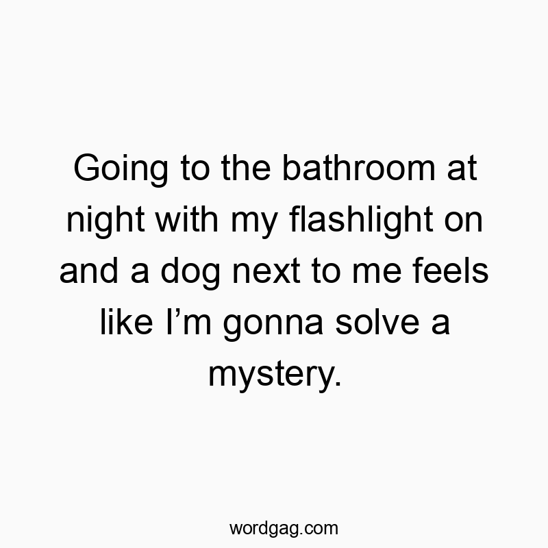 Playful quote about nighttime bathroom trips feeling like solving a mystery with a flashlight and dog.