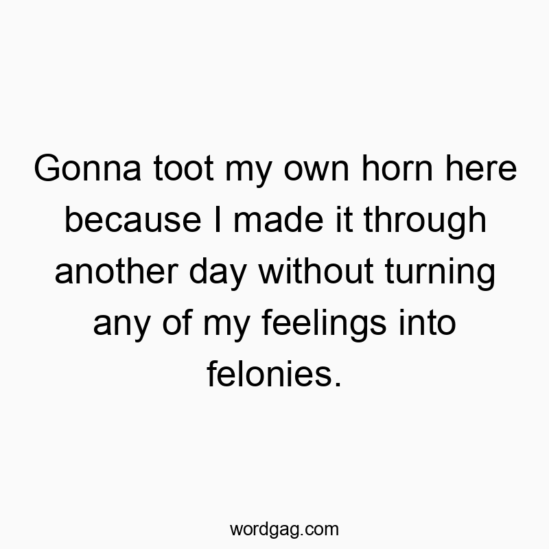 Gonna toot my own horn here because I made it through another day without turning any of my feelings into felonies.