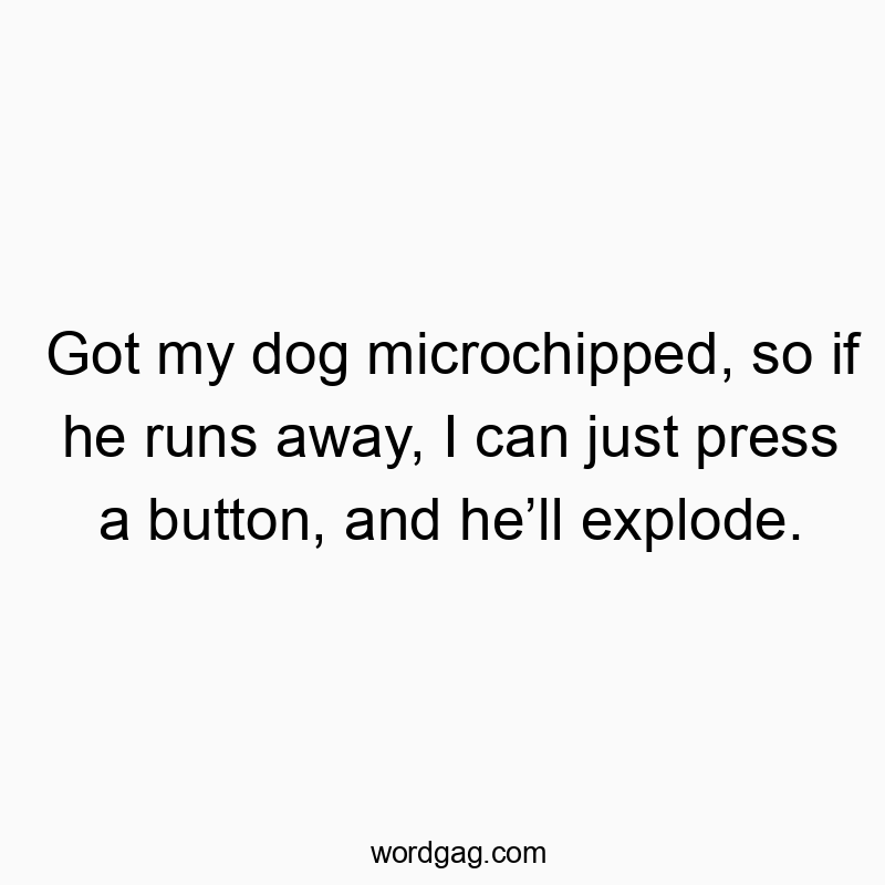 Got my dog microchipped, so if he runs away, I can just press a button, and heโll explode.