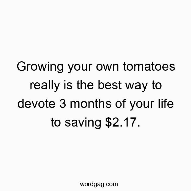 Growing your own tomatoes really is the best way to devote 3 months of your life to saving $2.17.