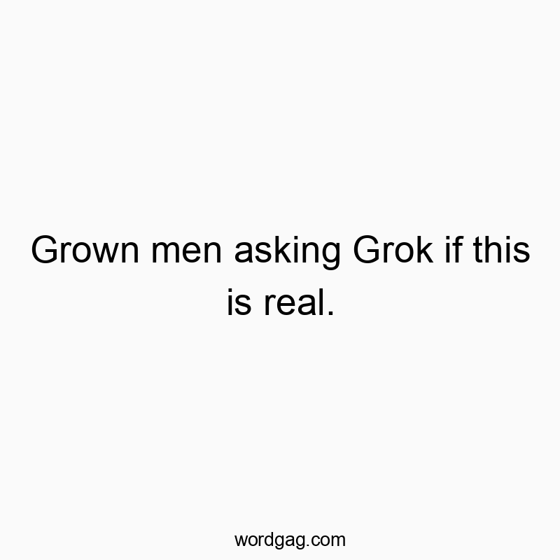 Grown men asking Grok if this is real.