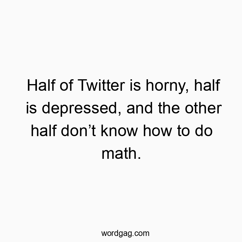 Funny media quotes - Half of Twitter is horny, half is depressed, and the other half don’t know how to do math.