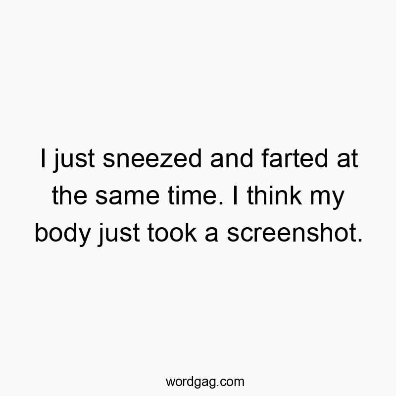 I just sneezed and farted at the same time. I think my body just took a screenshot.