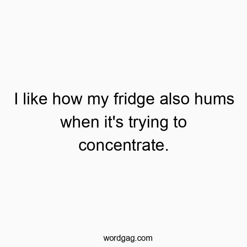 I like how my fridge also hums when it’s trying to concentrate.