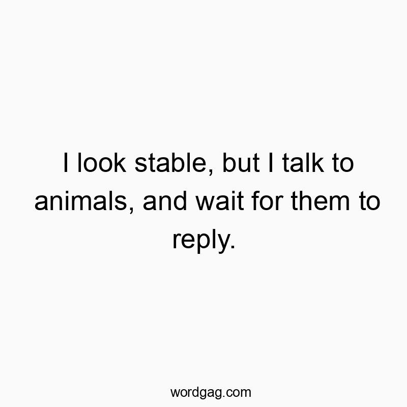 I look stable, but I talk to animals, and wait for them to reply.