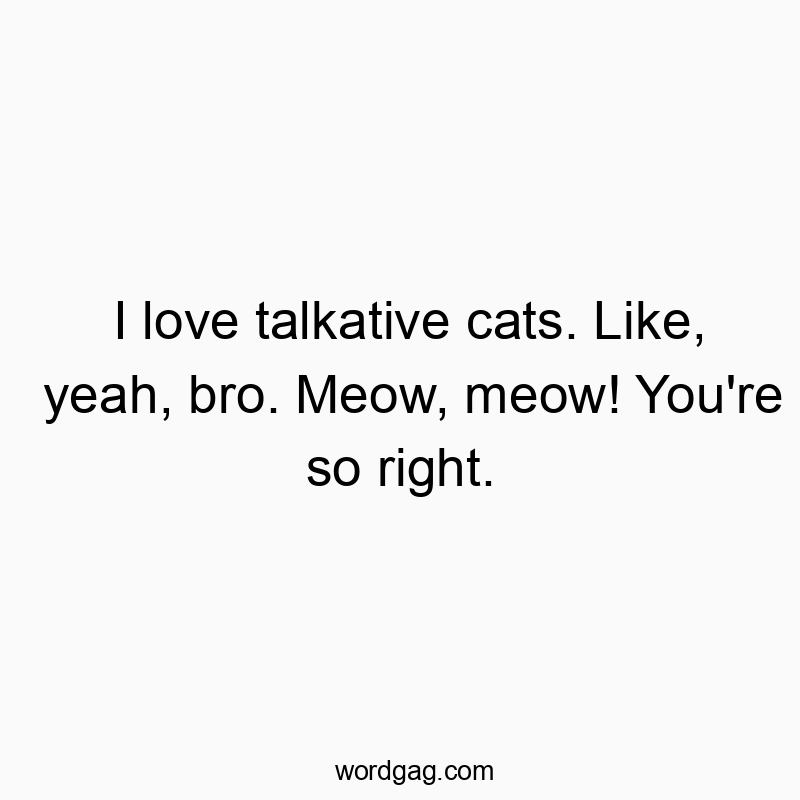 I love talkative cats. Like, yeah, bro. Meow, meow! You’re so right.