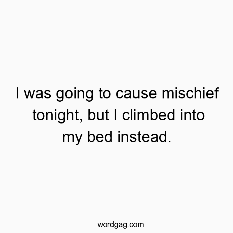 I was going to cause mischief tonight, but I climbed into my bed instead.