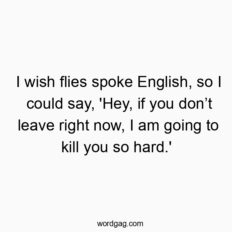 I wish flies spoke English, so I could say, ‘Hey, if you don’t leave right now, I am going to kill you so hard.’