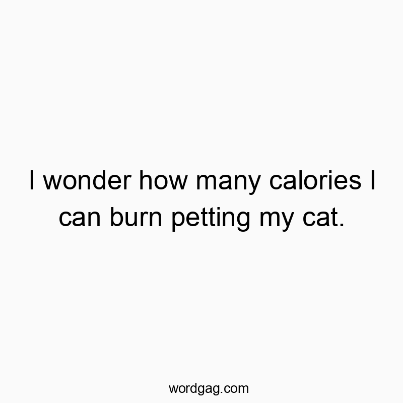 Funny pet quotes - I wonder how many calories I can burn petting my cat.