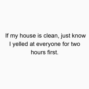 If my house is clean, just know I yelled at everyone for two hours first.