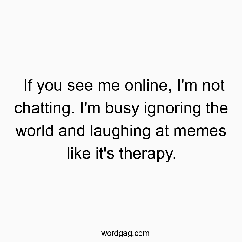 If you see me online, I’m not chatting. I’m busy ignoring the world and laughing at memes like it’s therapy.