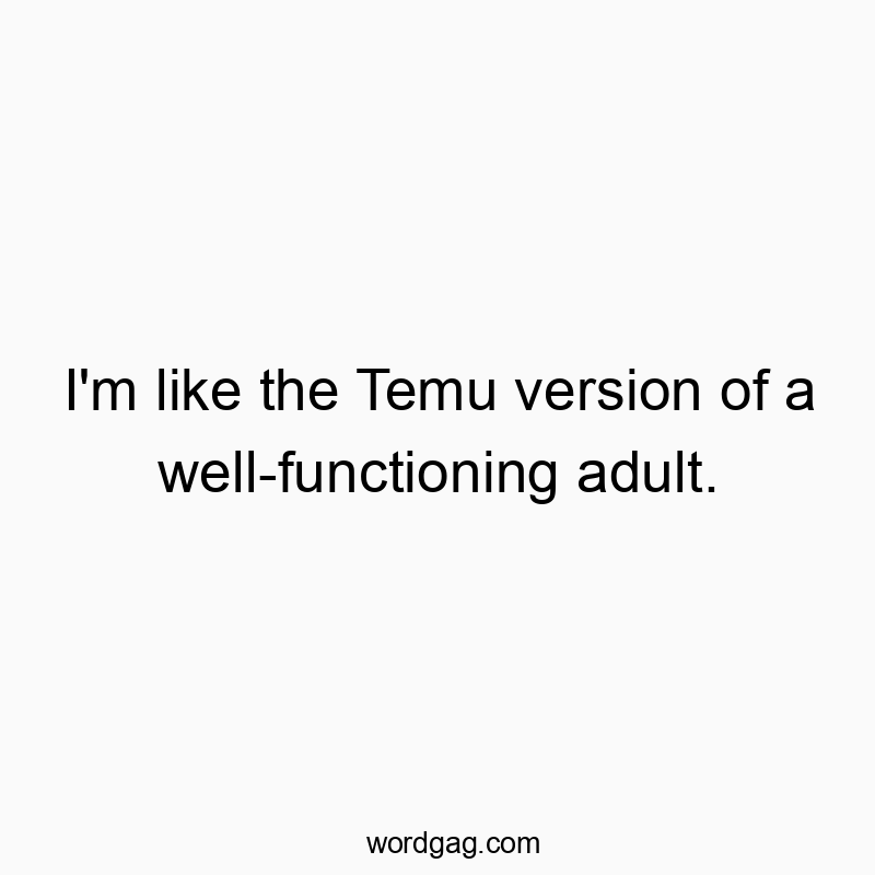 I’m like the Temu version of a well-functioning adult.