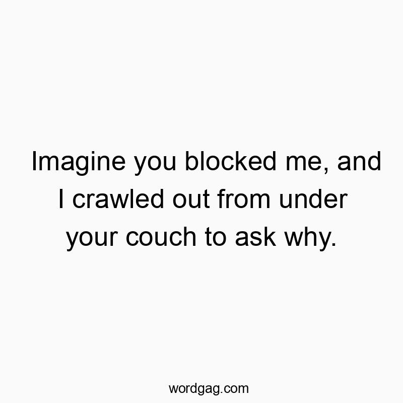 Imagine you blocked me, and I crawled out from under your couch to ask why.