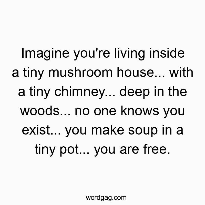Imagine you’re living inside a tiny mushroom house… with a tiny chimney… deep in the woods… no one knows you exist… you make soup in a tiny pot… you are free.