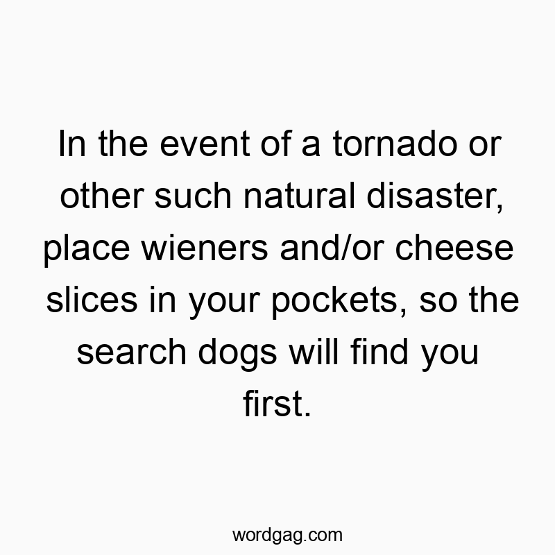 In the event of a tornado or other such natural disaster, place wieners and/or cheese slices in your pockets, so the search dogs will find you first.